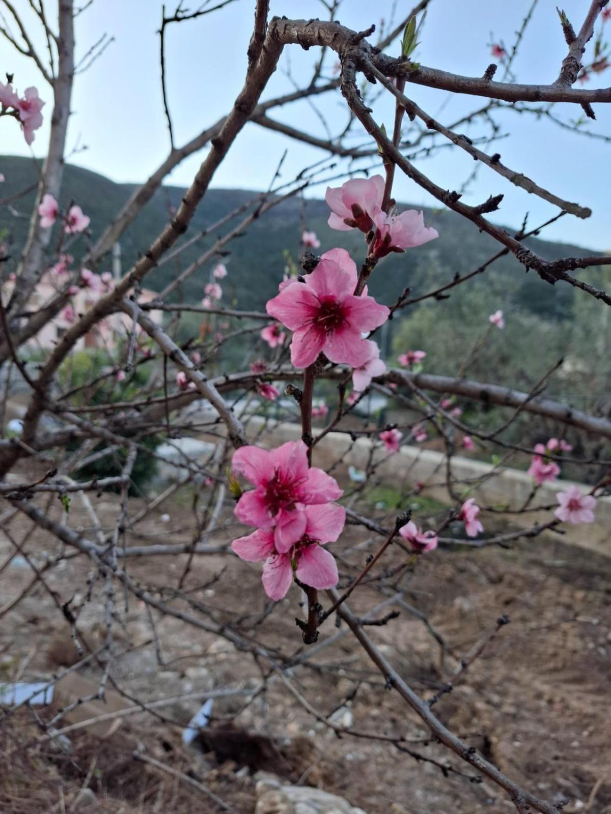 Hera Ferienhaus Himarë